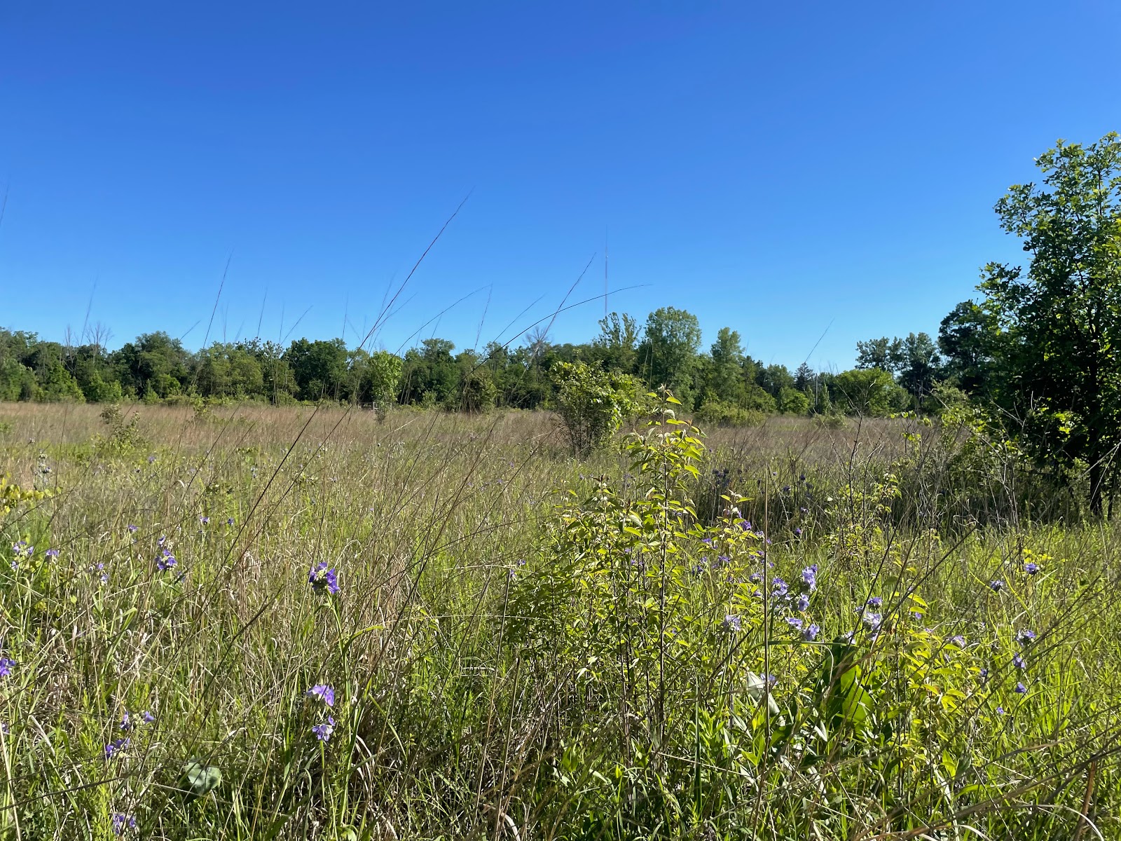 Daubenspeck Community Nature Park