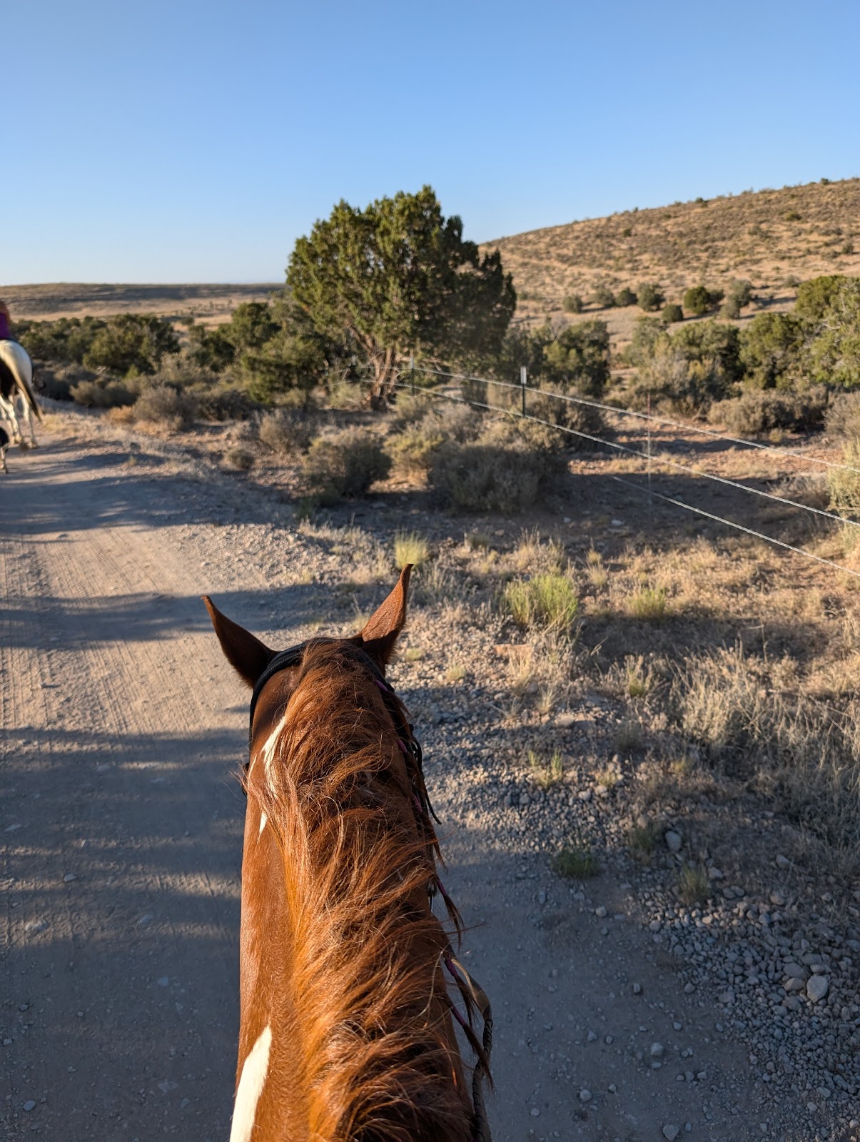 GRAND CANYON GLAMPING RESORT