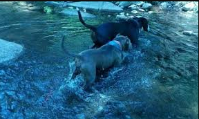 Beasore Meadows RV Park