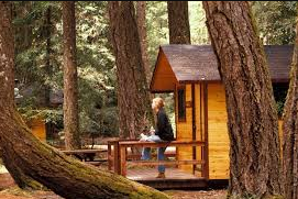 Hendy Woods State Park