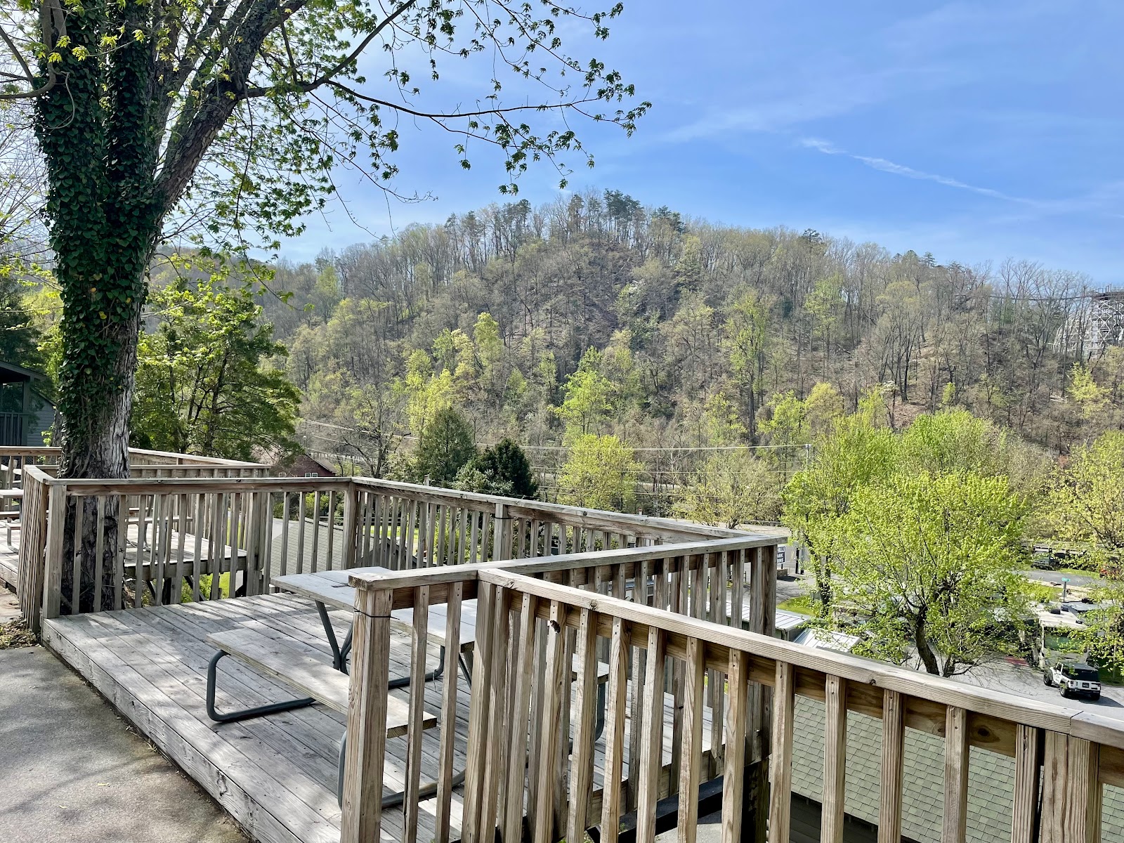 Foothills Campground & Cabins