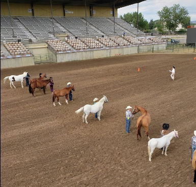 Central Wyoming Fair