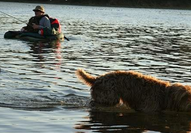 East Lake Resort and RV Parks