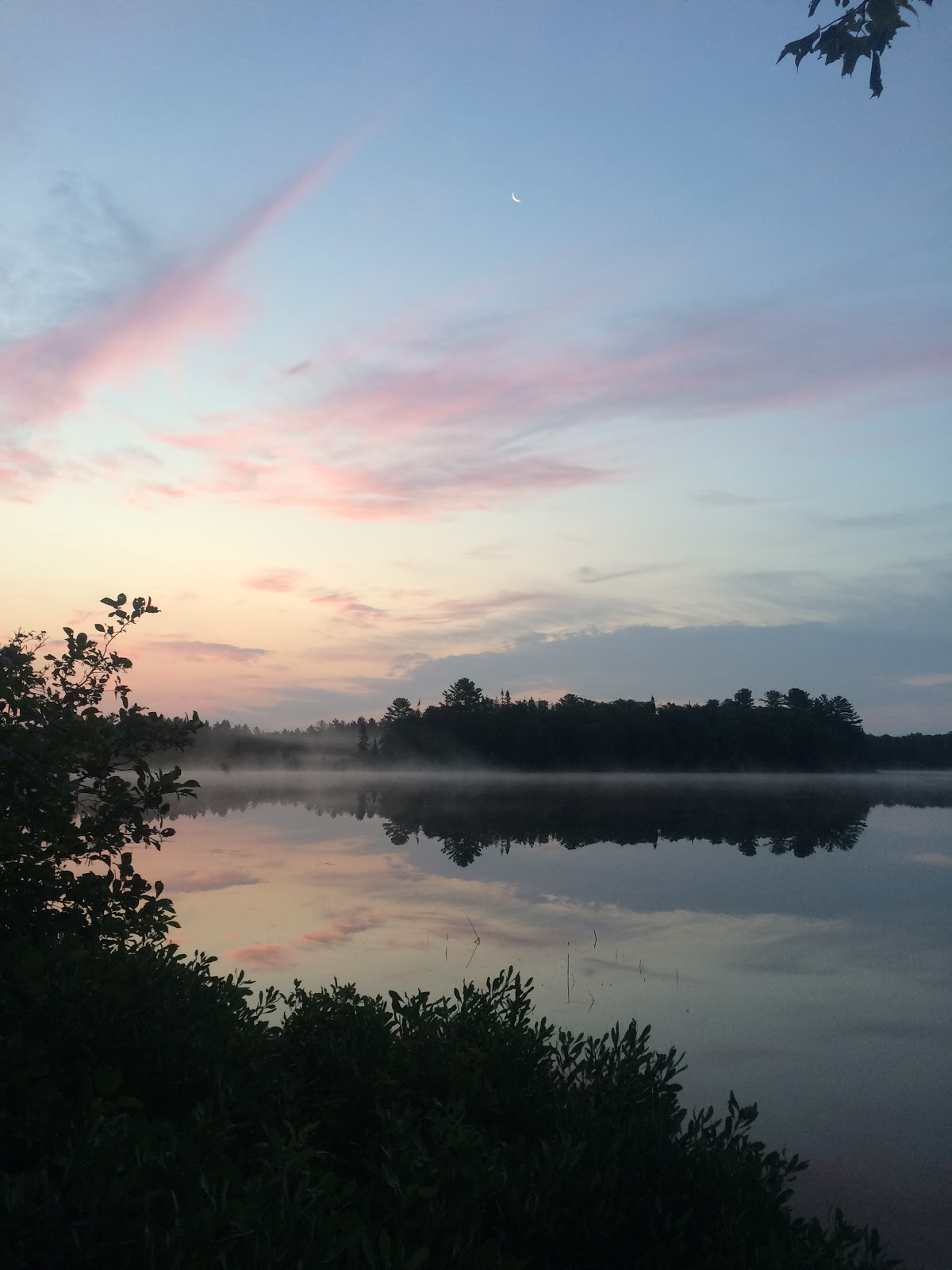 Ross Lake SF Campground