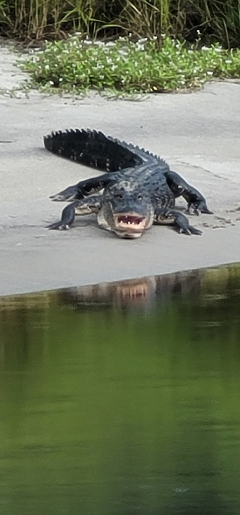 Arcadia Peace River Campground
