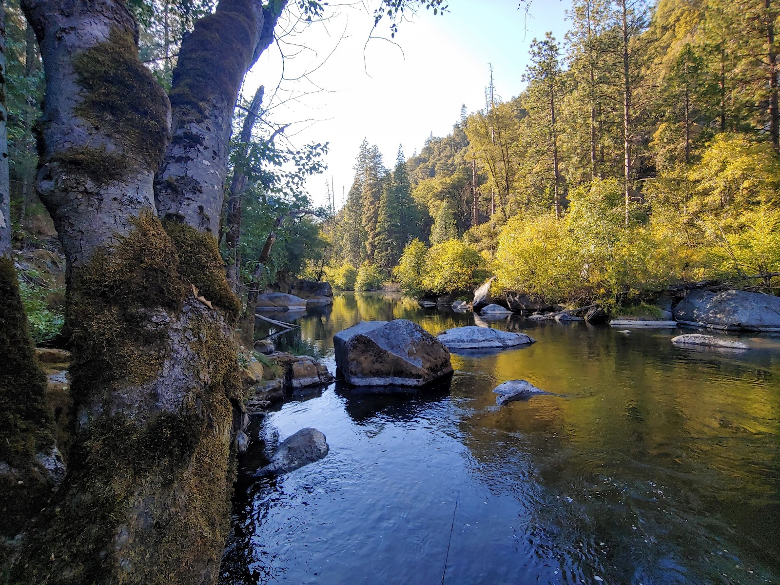 Sand Bar Flat Campground