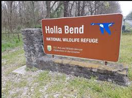 Holla Bend National Wildlife Refuge