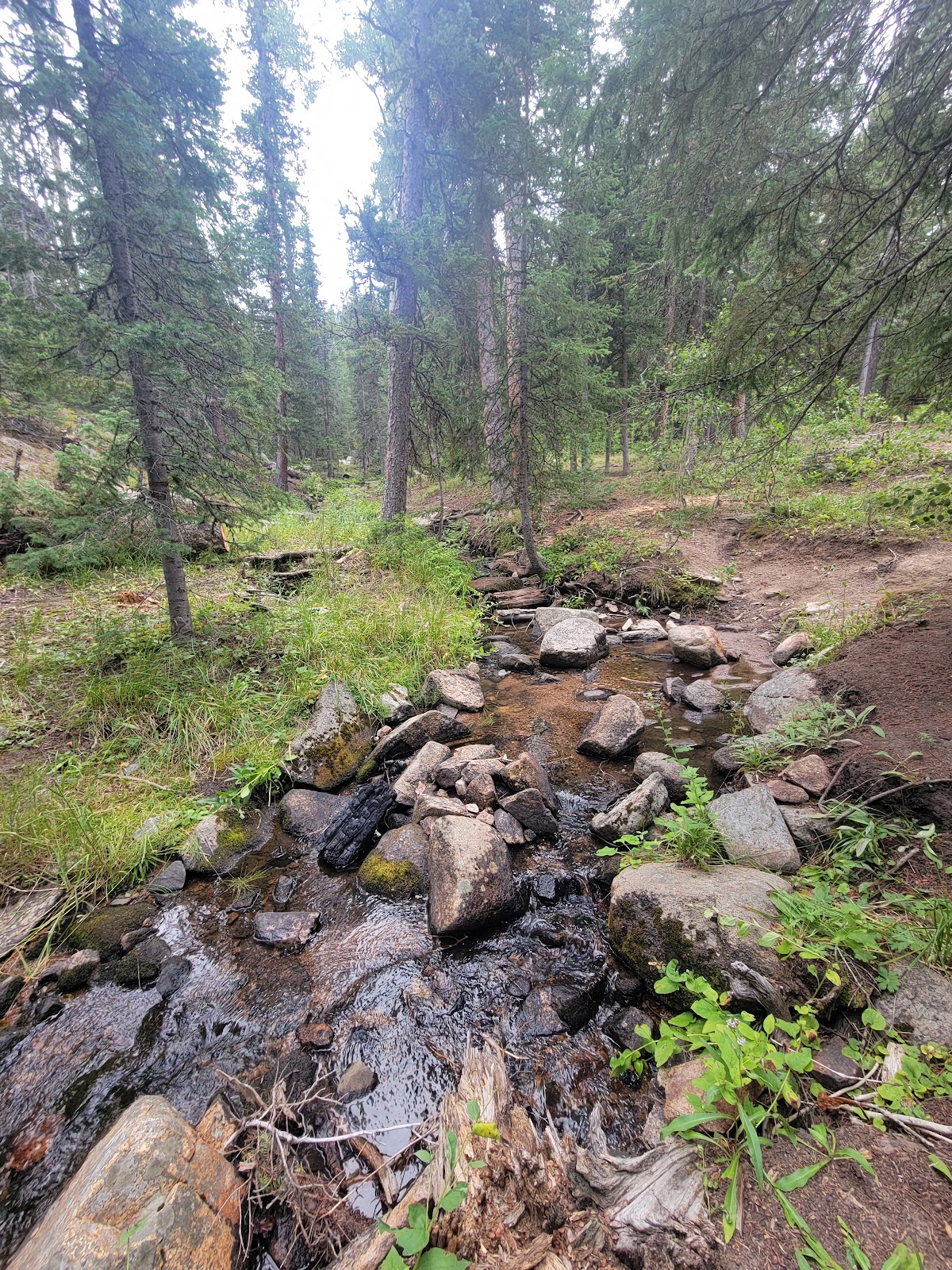 Campbell Creek Campground