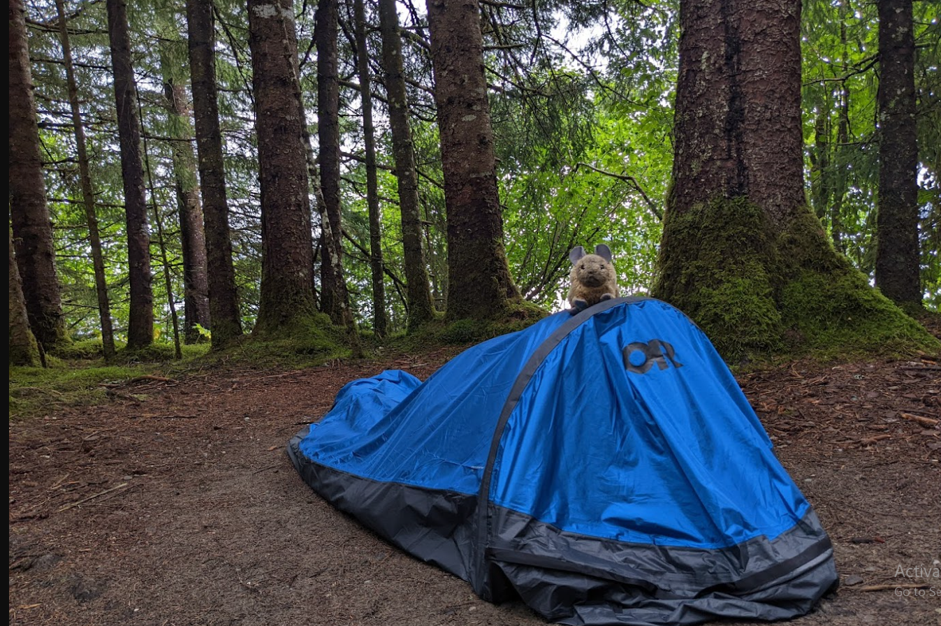 Bartlett Cove Campground