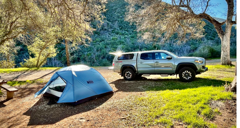 Miranda Pine Campground