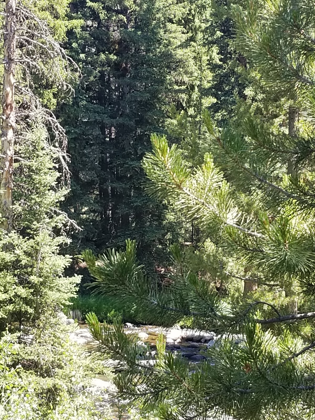 Boulder Park Campground