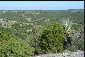 Kickapoo Cavern State Park