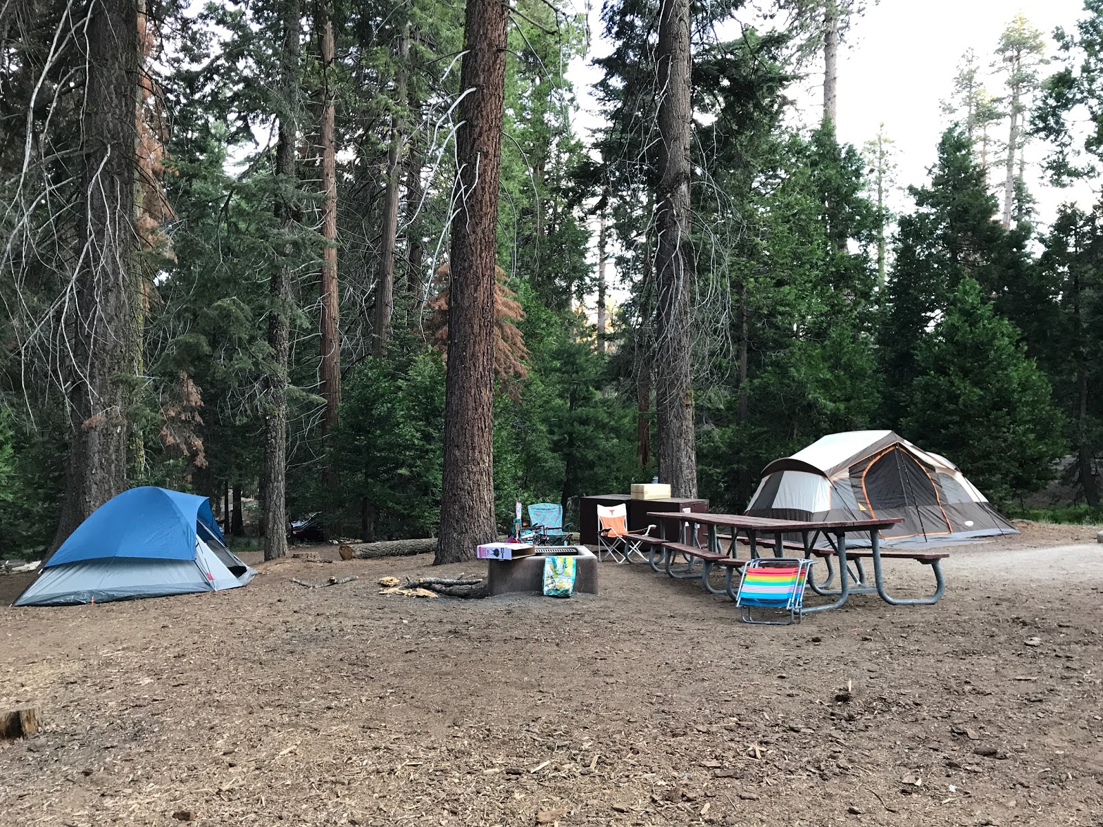 Crystal Springs Campground Mid-Sized Group Sites