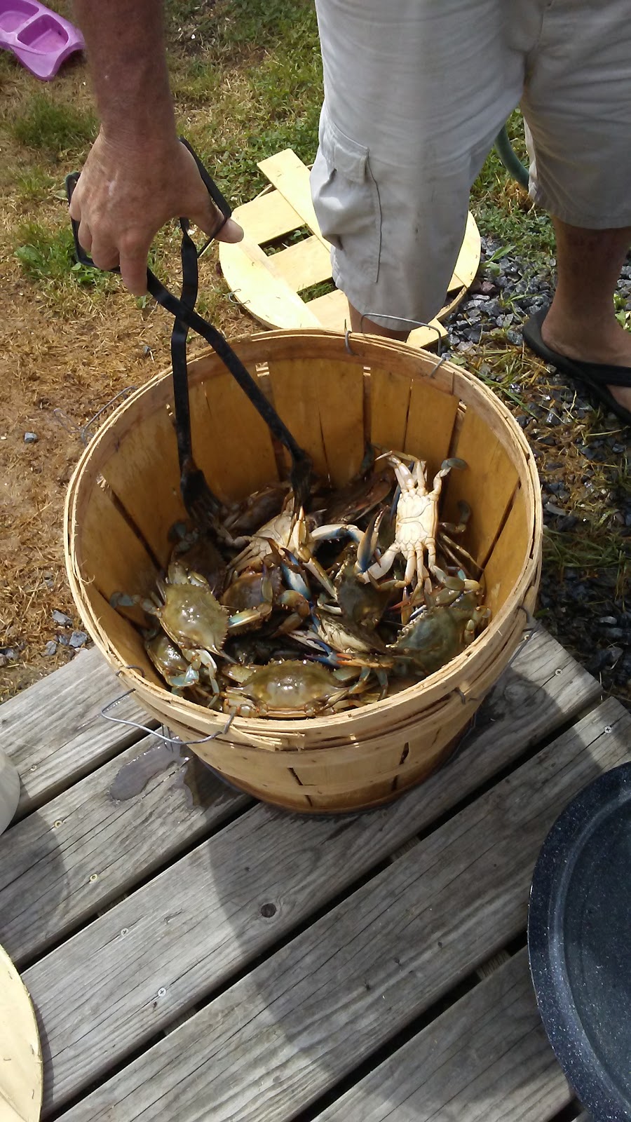 Madison Bay Campground and Marina