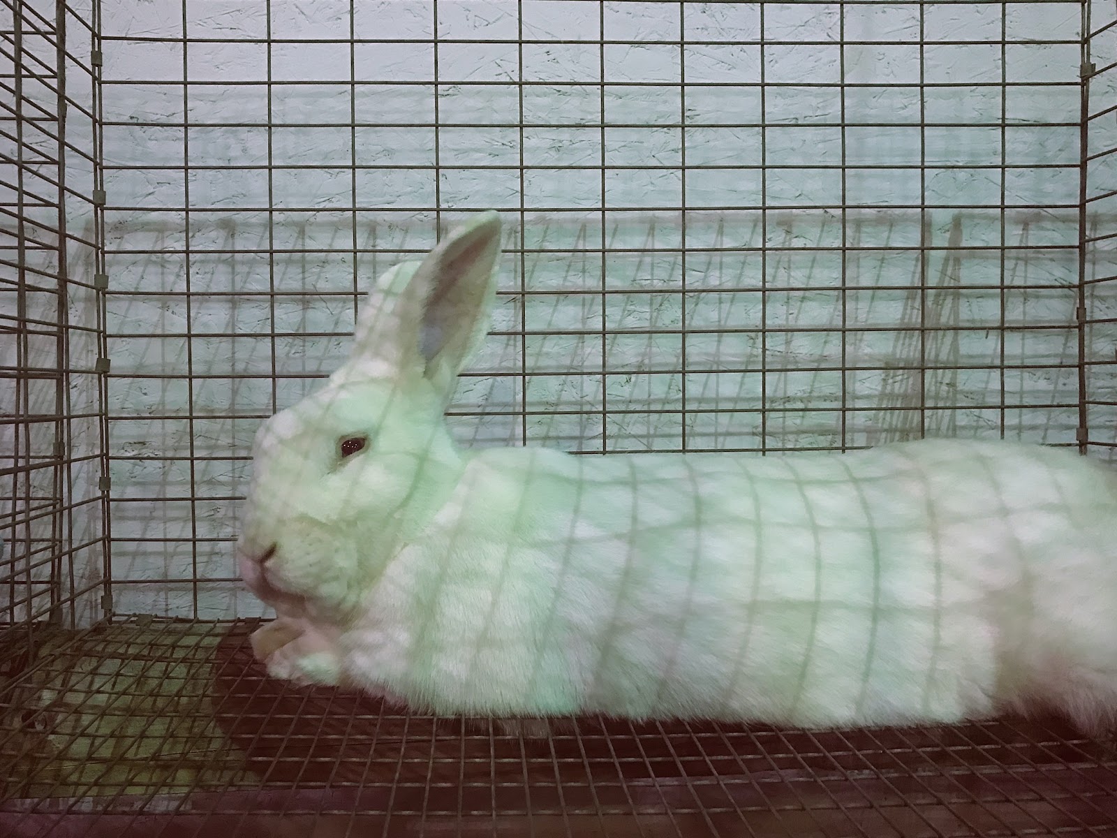 Latah County Fairgrounds RV Park