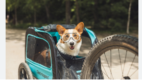 Coler Mountain Bike Preserve