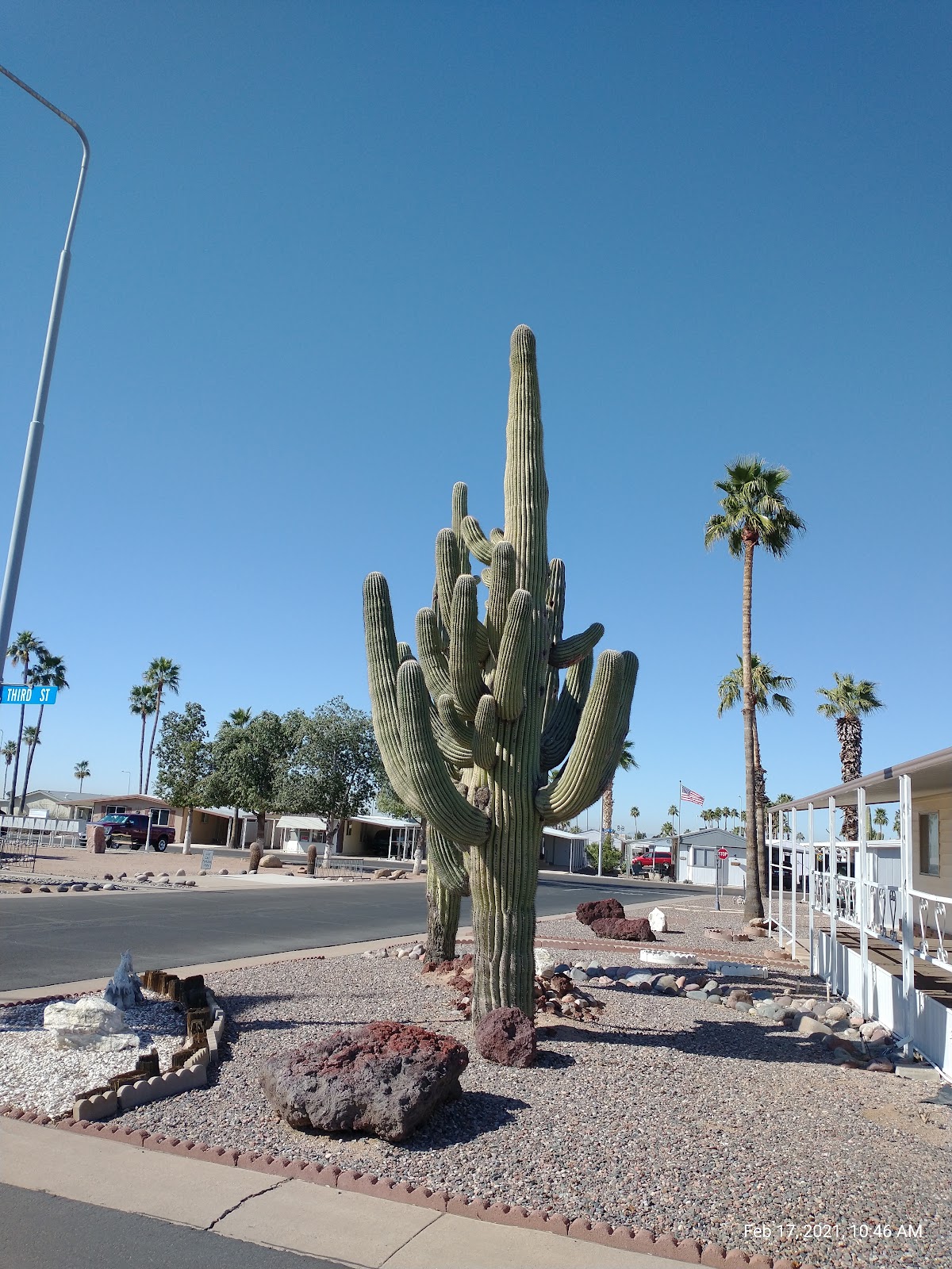 Sierra Del Saguaro/MHP