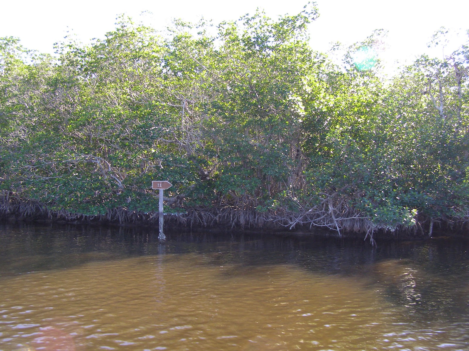 Backcountry Harney River Chickee - Everglades National Park