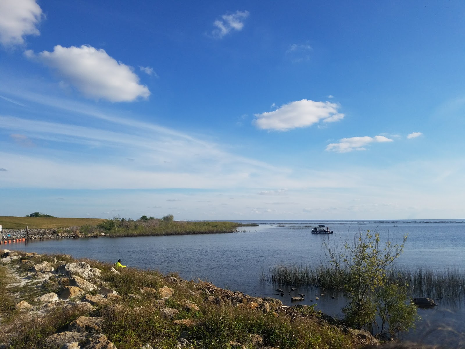 Ancient Oaks (55+ park)