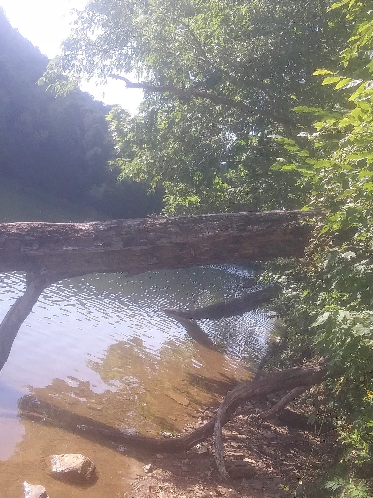 Stonecoal Lake Wildlife Management Area