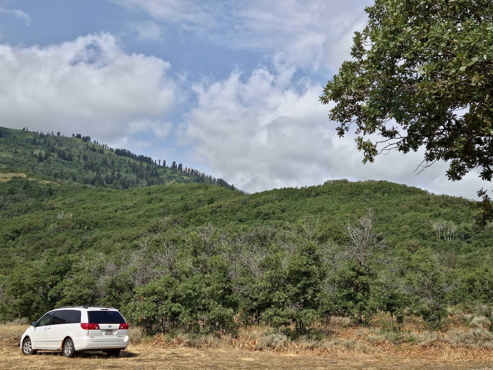 Weber County North Fork Park