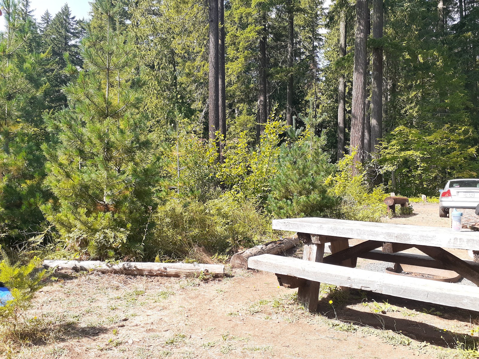 Moss Creek Campground