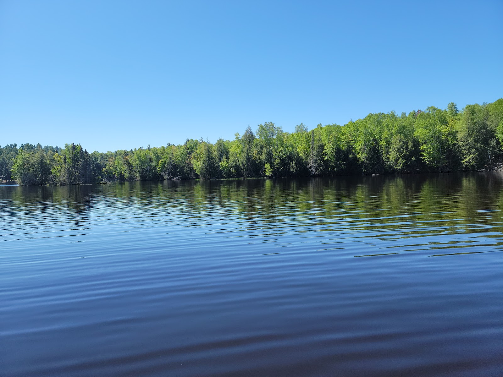 Sure-wood Forest Campground