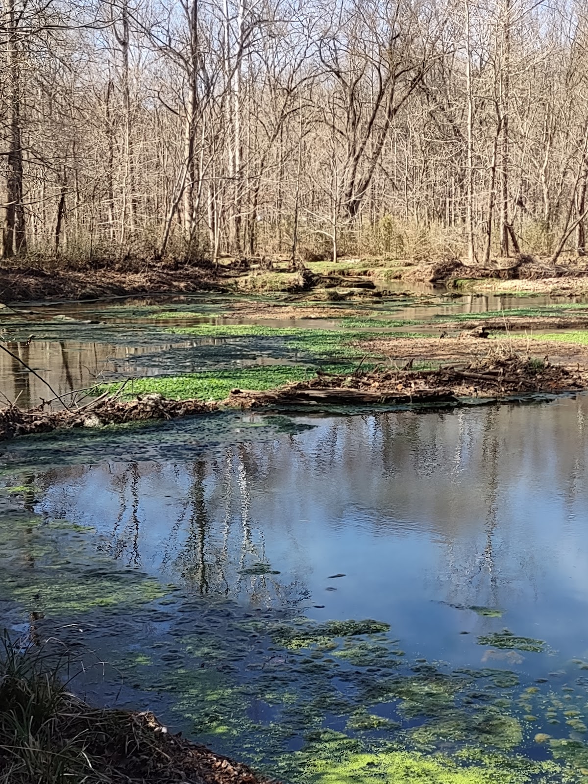 Natchez Trace Parkway