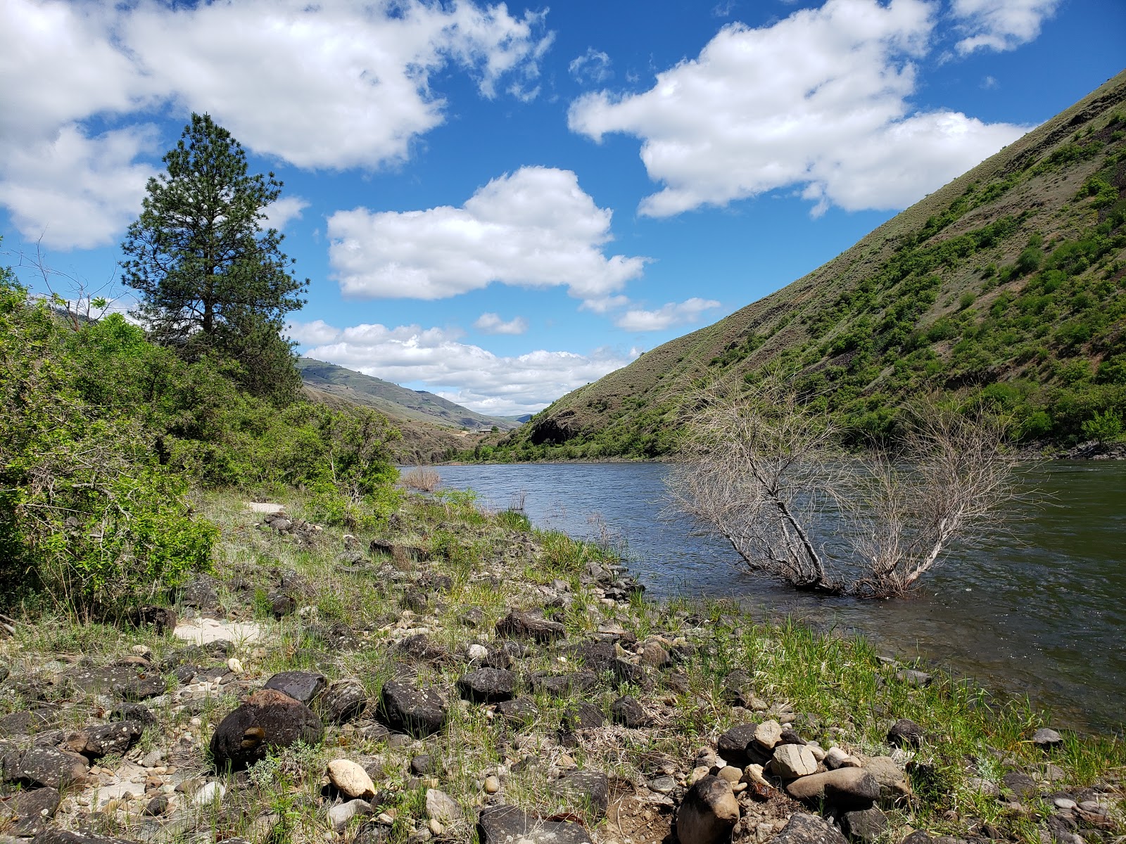 Hammer Creek Campground