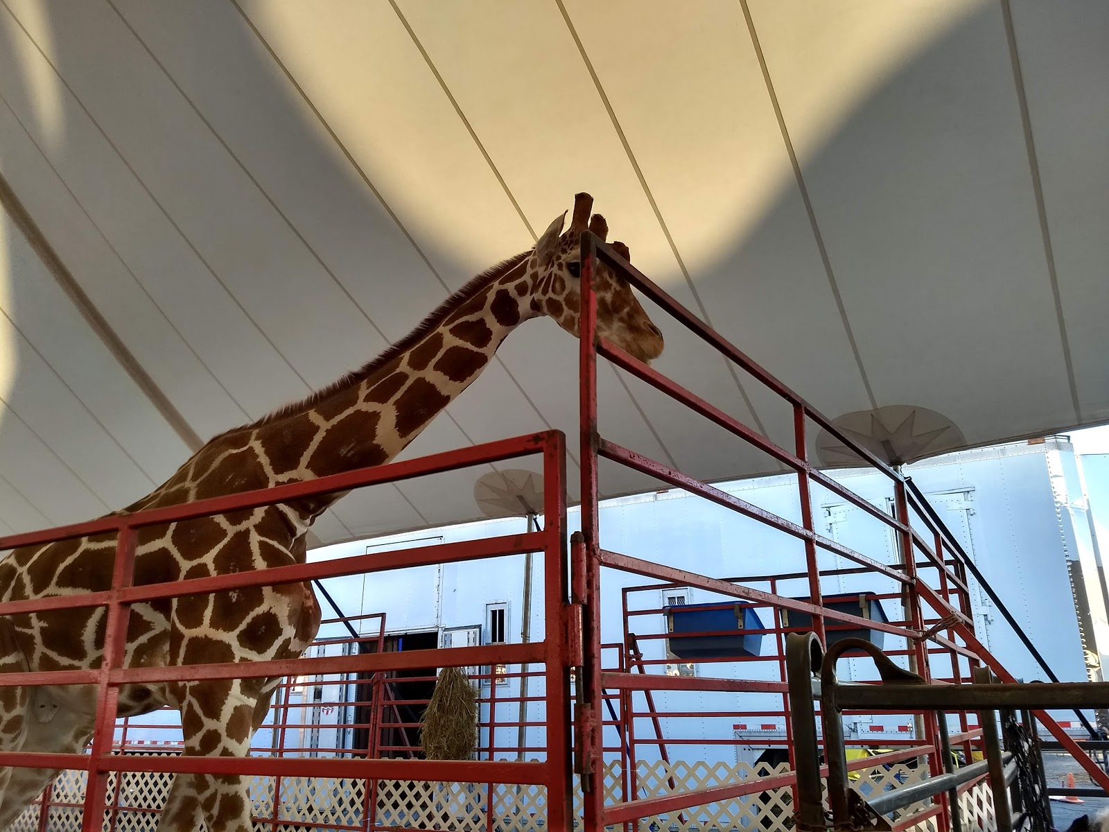 New York State Fairgrounds