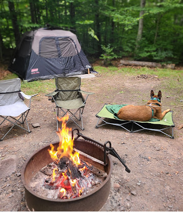 Tobyhanna State Park