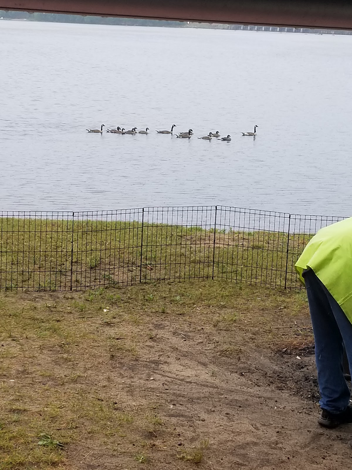 West Arbutus County Park Campground