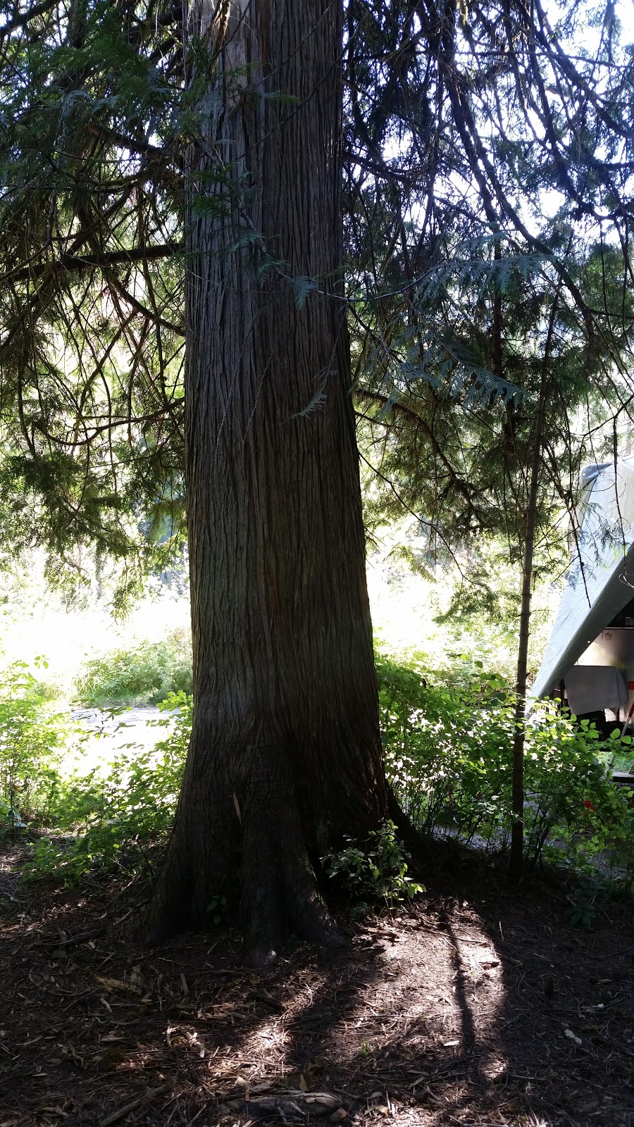 Knife Edge River Campground