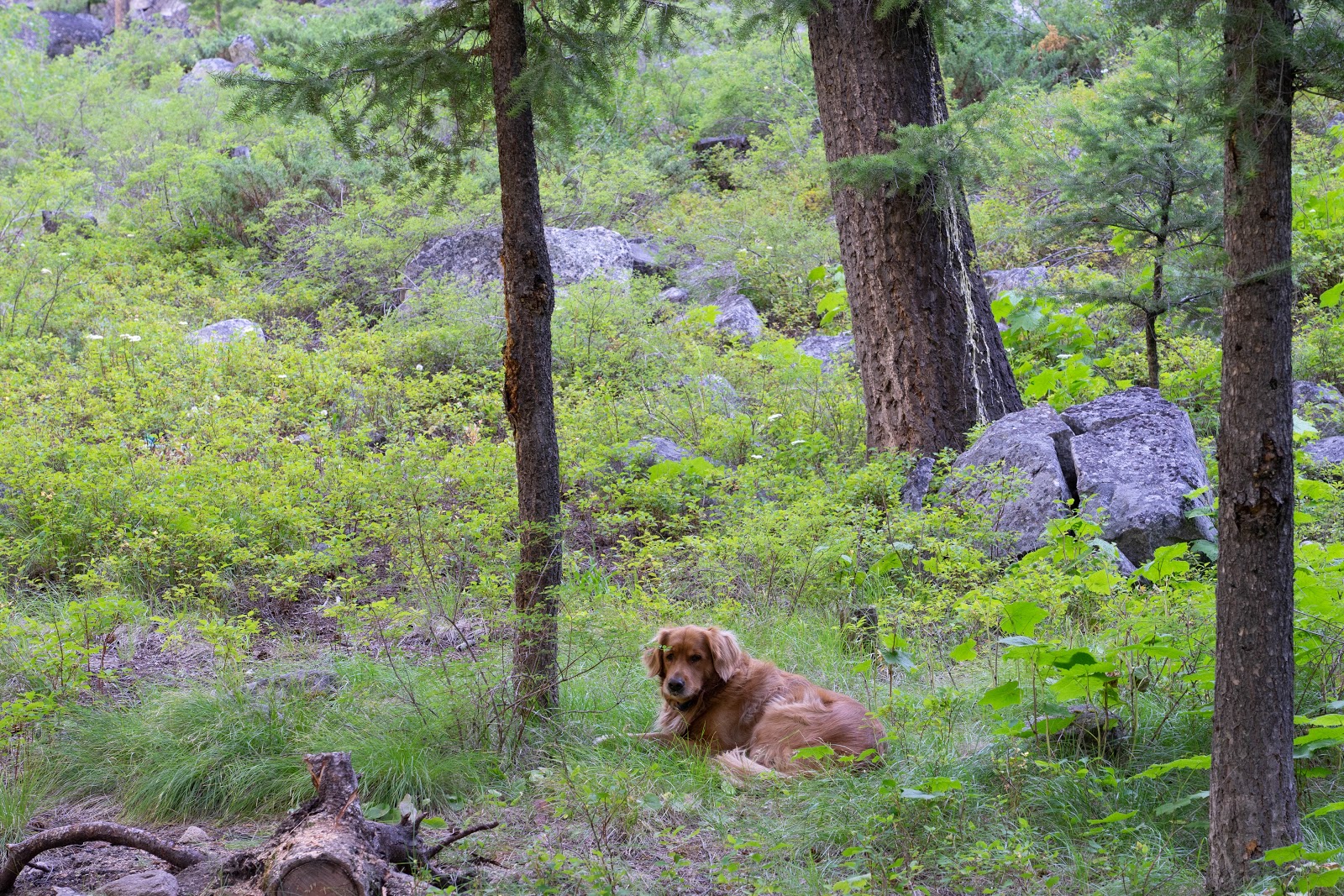 Flat Rock Campground