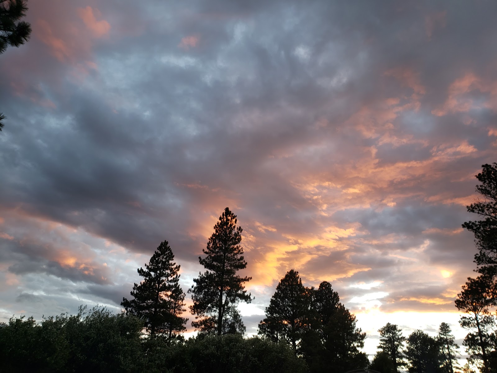 Greendale Campground