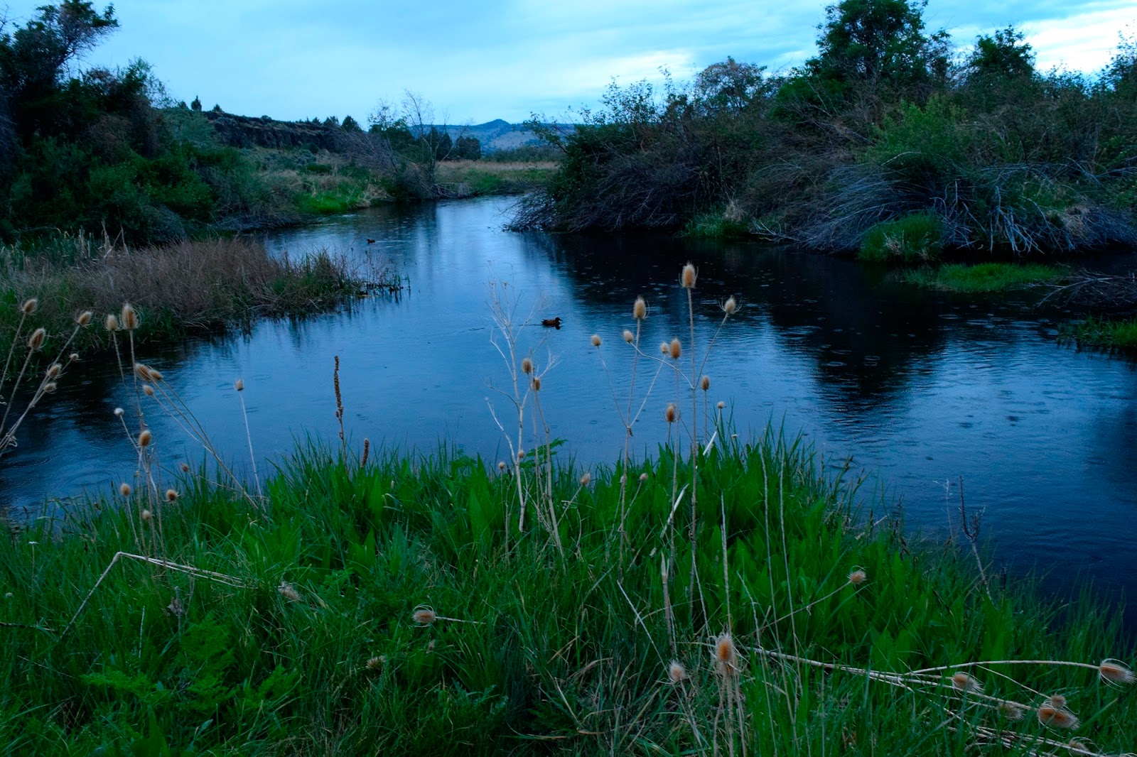 Page Springs Campground
