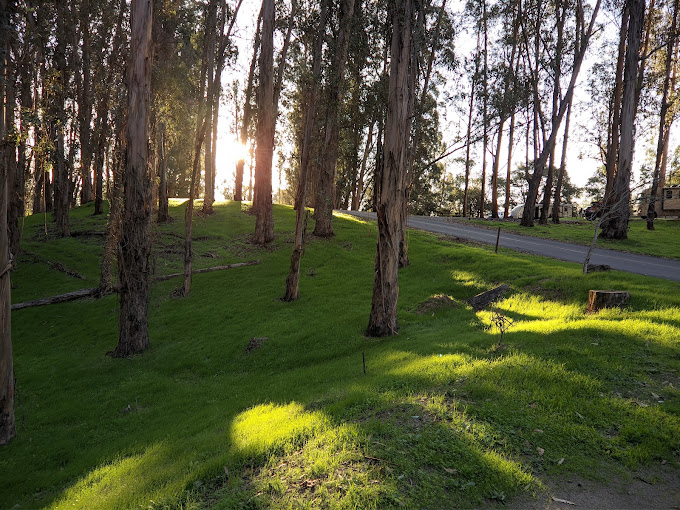 Anthony Chabot Regional Park