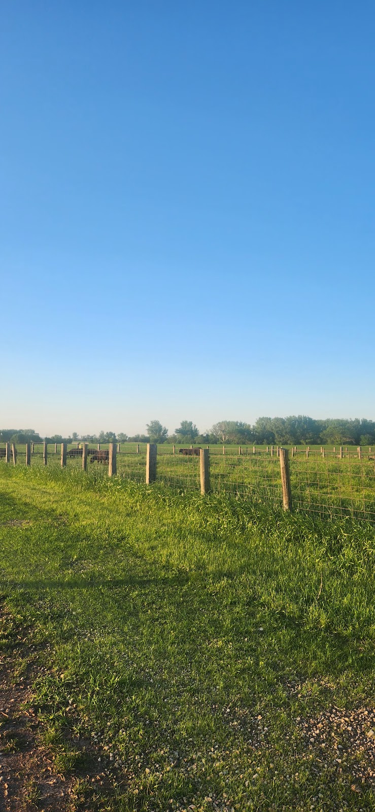 Hills Park - Sheldon