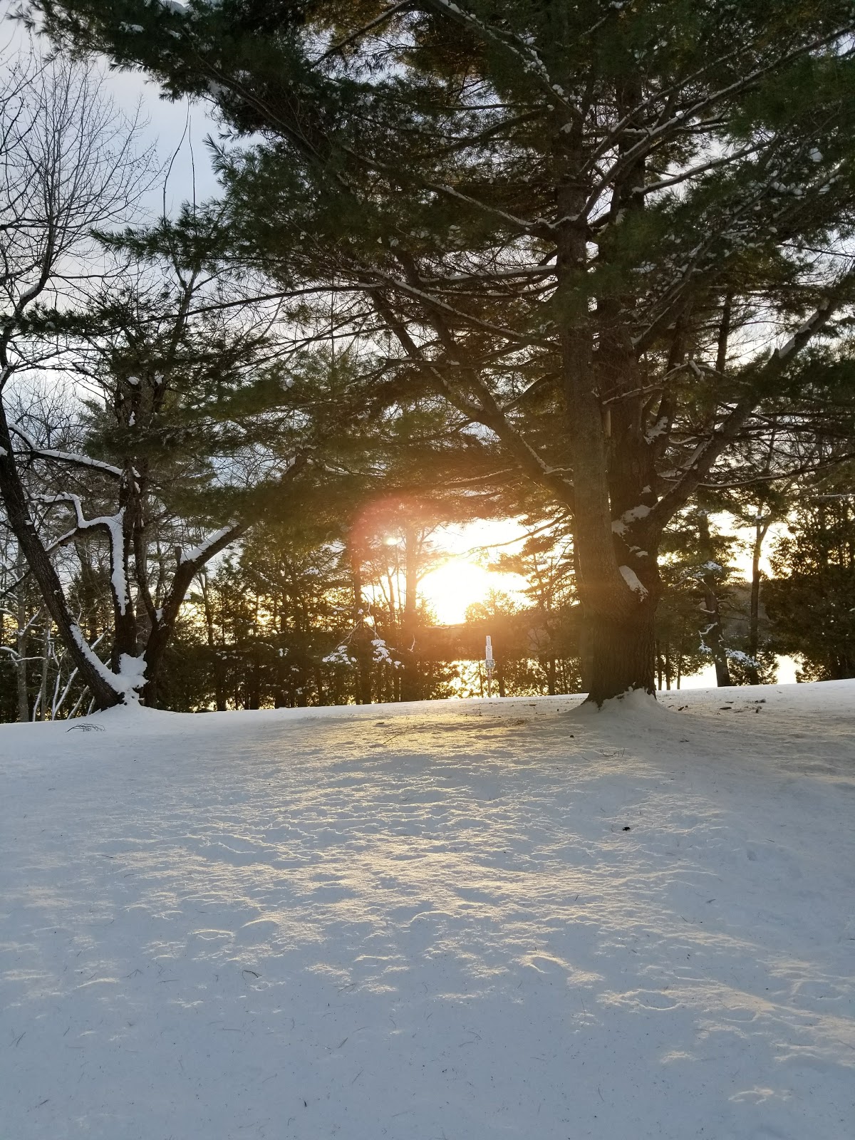 Pleasant Point Campground