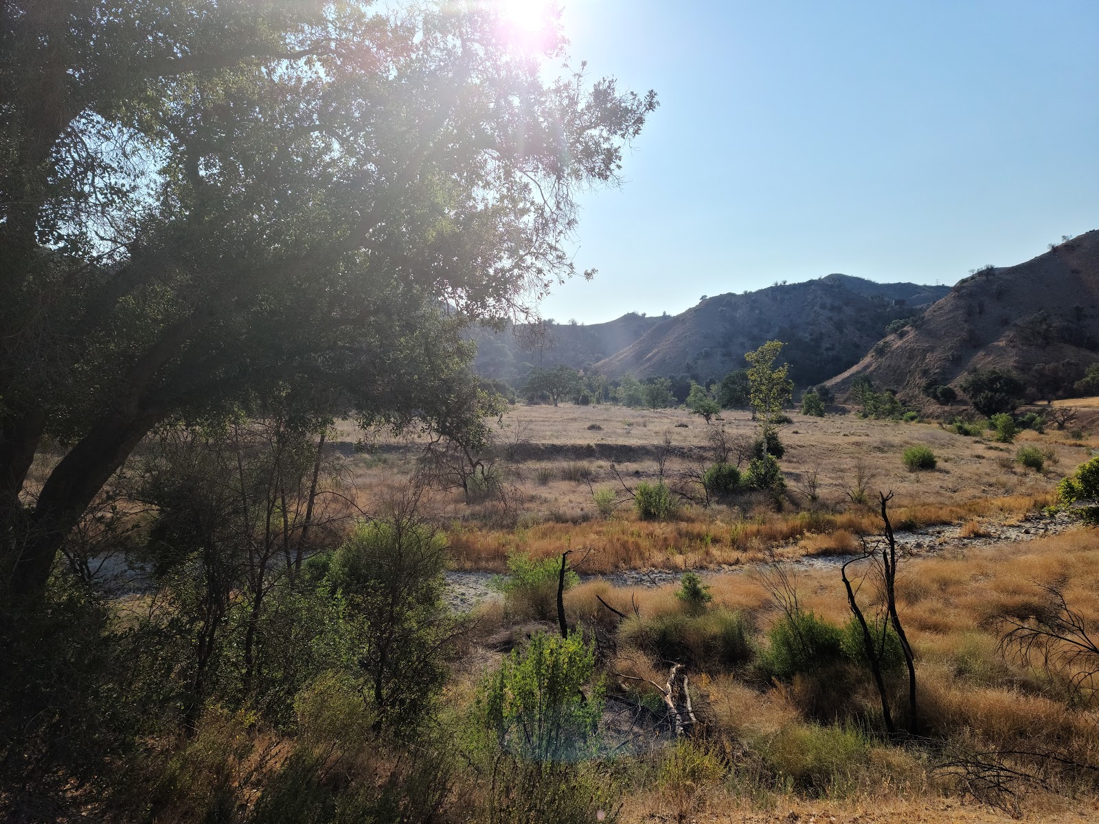 Malibu Creek State Park - Family Camp