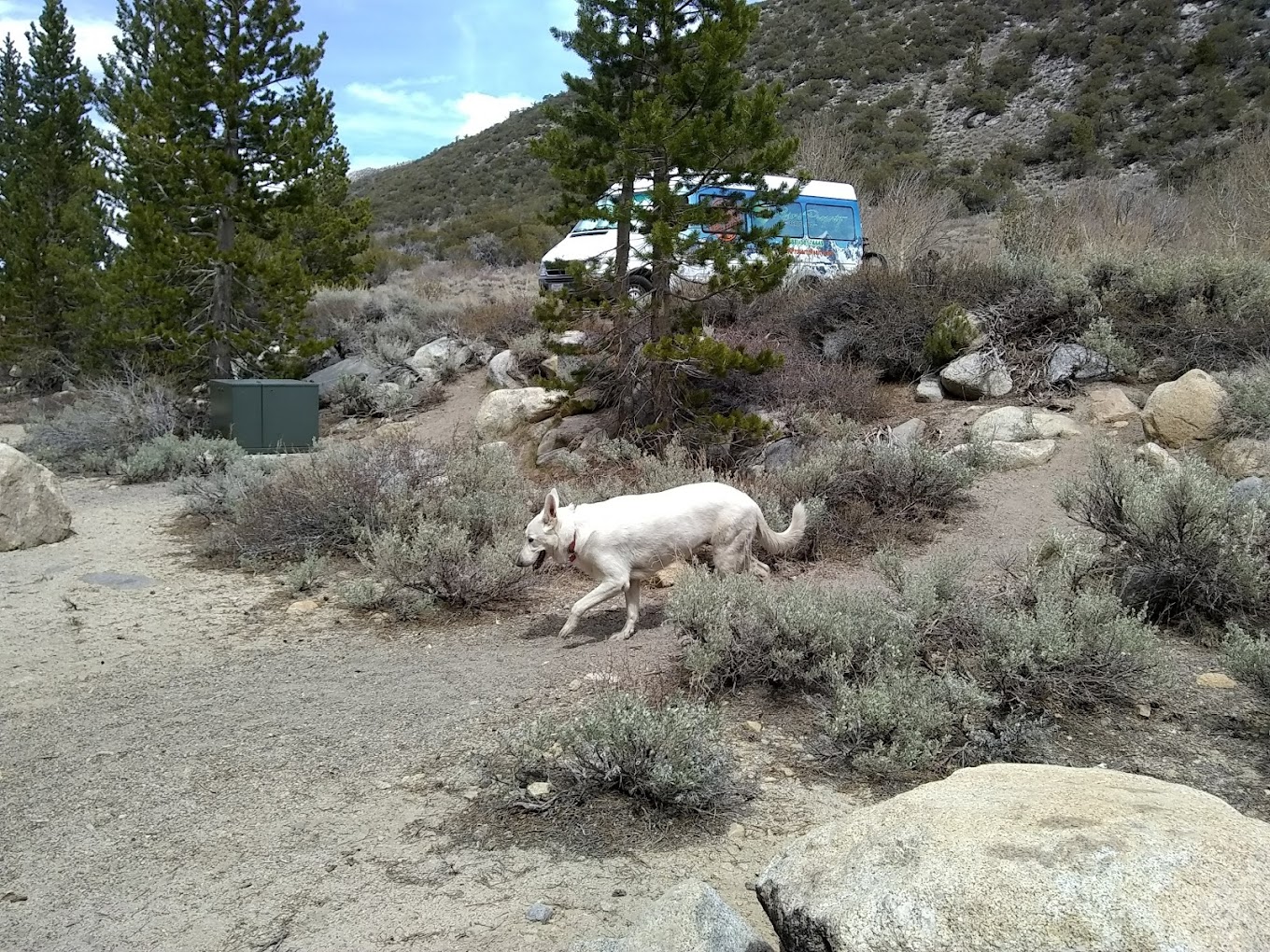 Palisades Group Campground