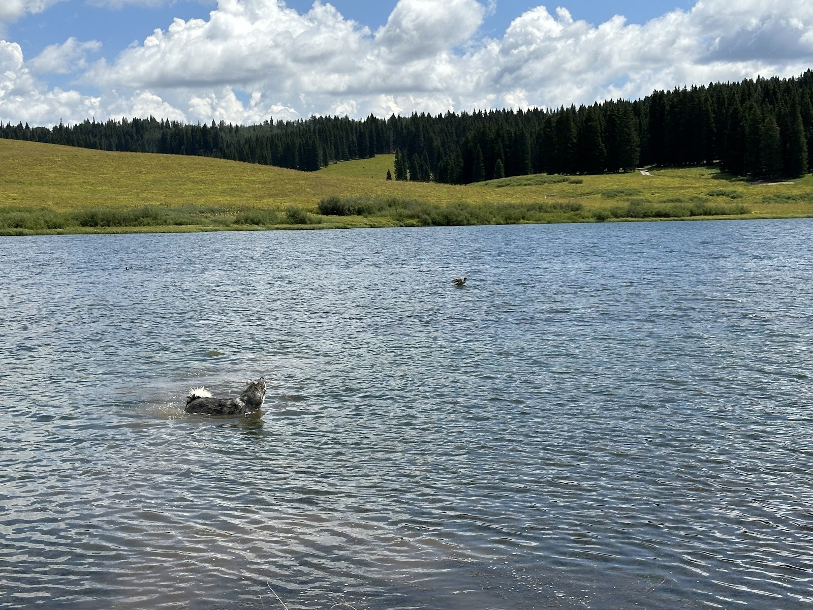 Meadow Ridge Campground