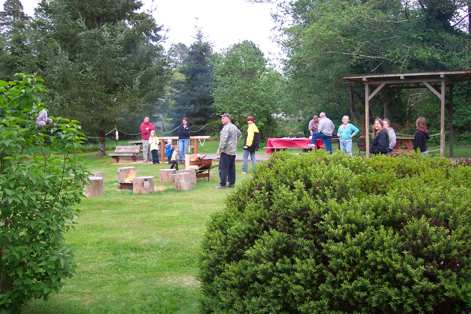 Bay Center-Willapa Bay KOA