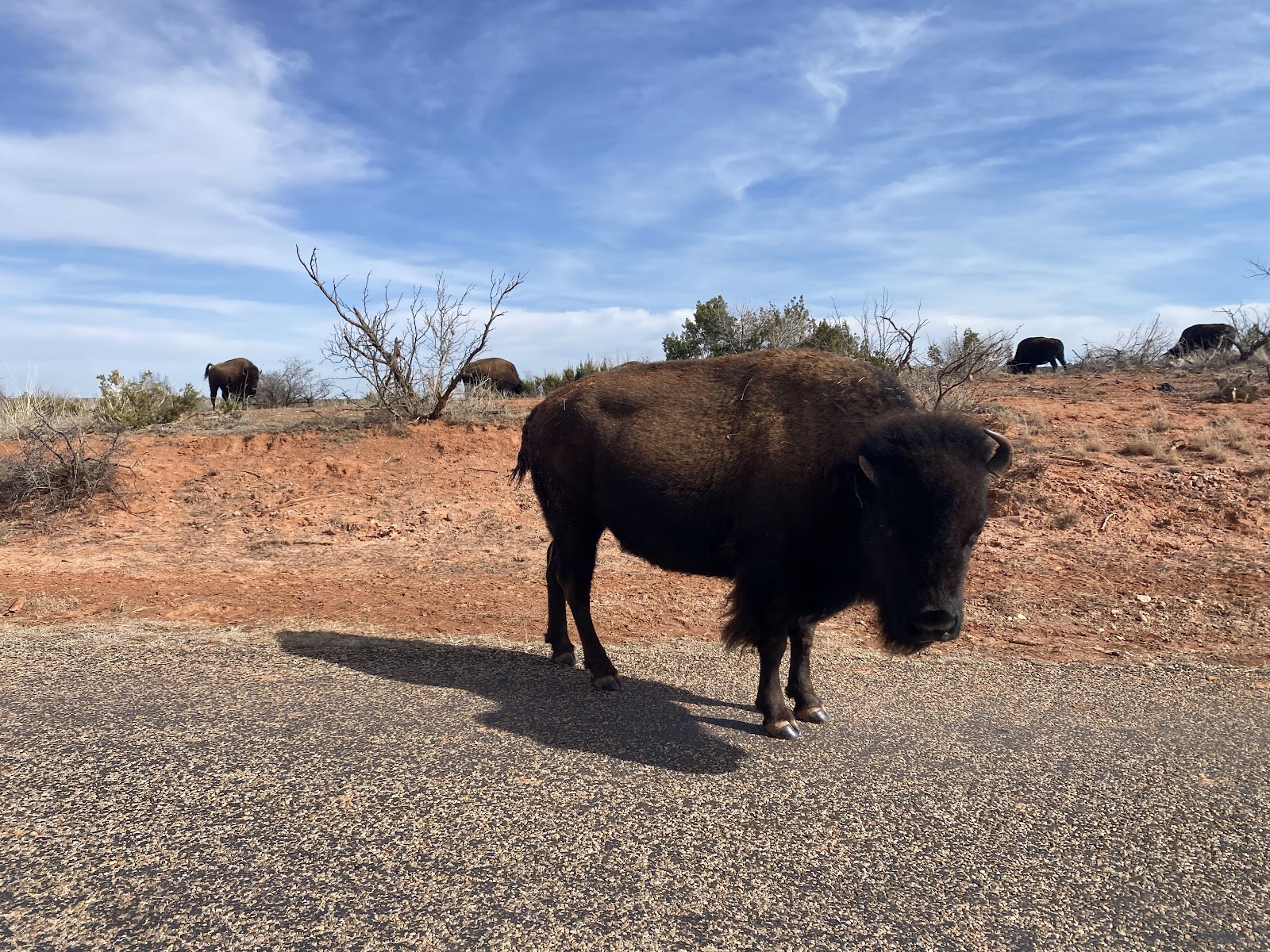 Silver Wind RV Park and Cabins
