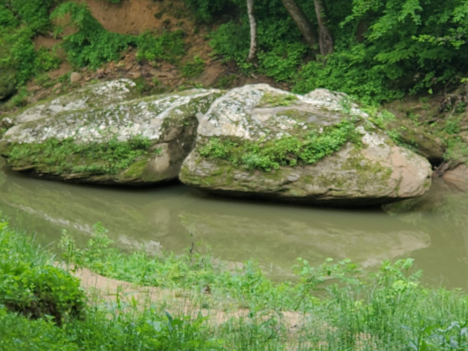 Pumpkin Bottom in the Red River Gorge