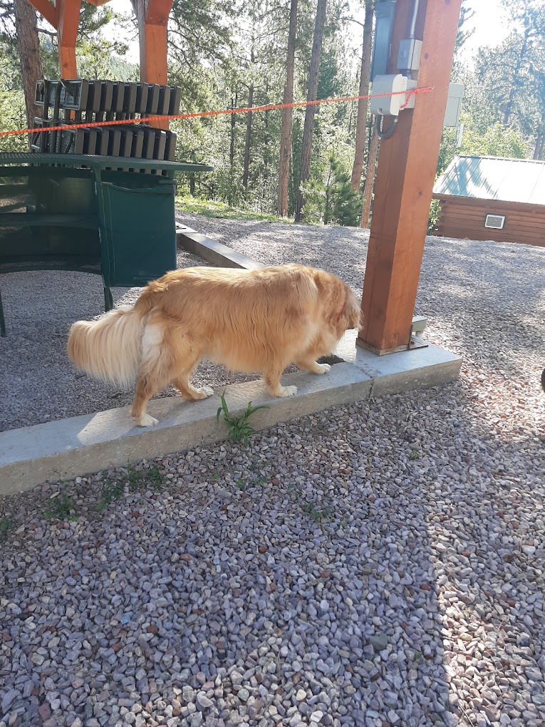 Holy Smoke Resort Camping