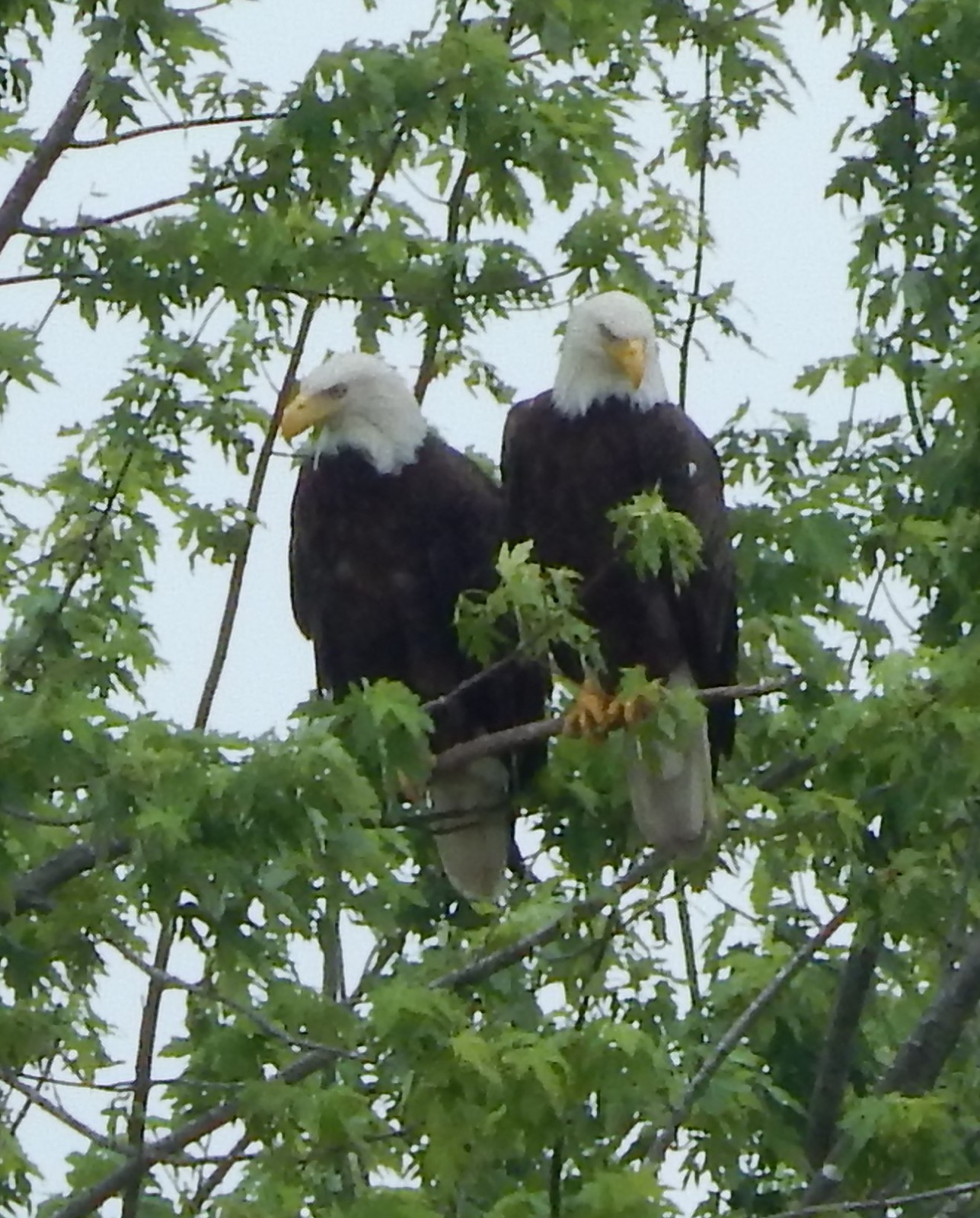 Sugar Mill Lake & Campgrounds