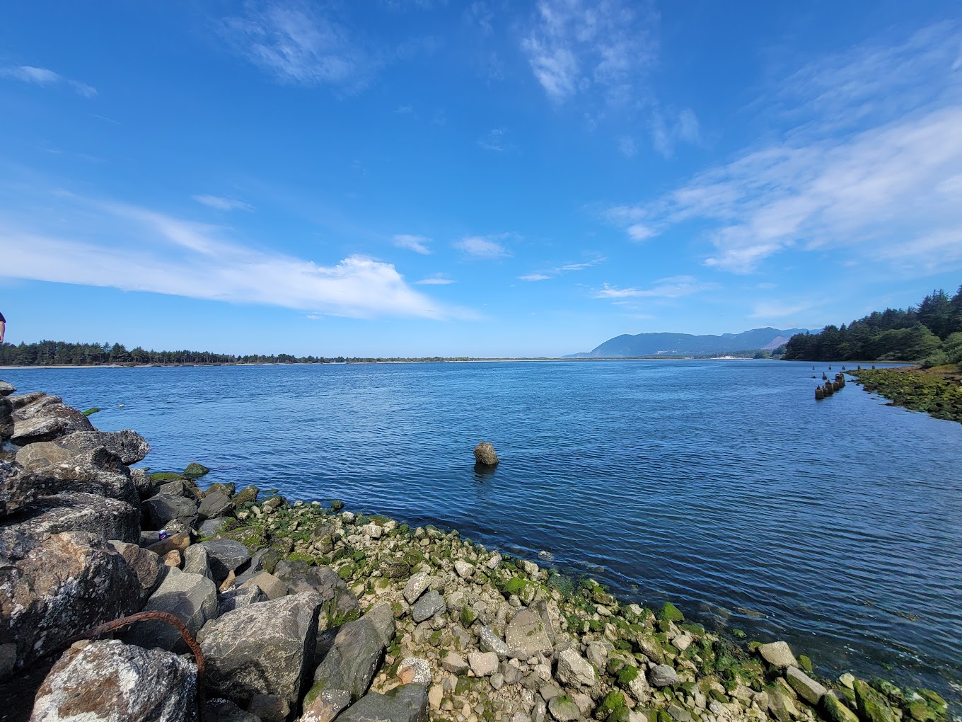 Kelly's Brighton Marina