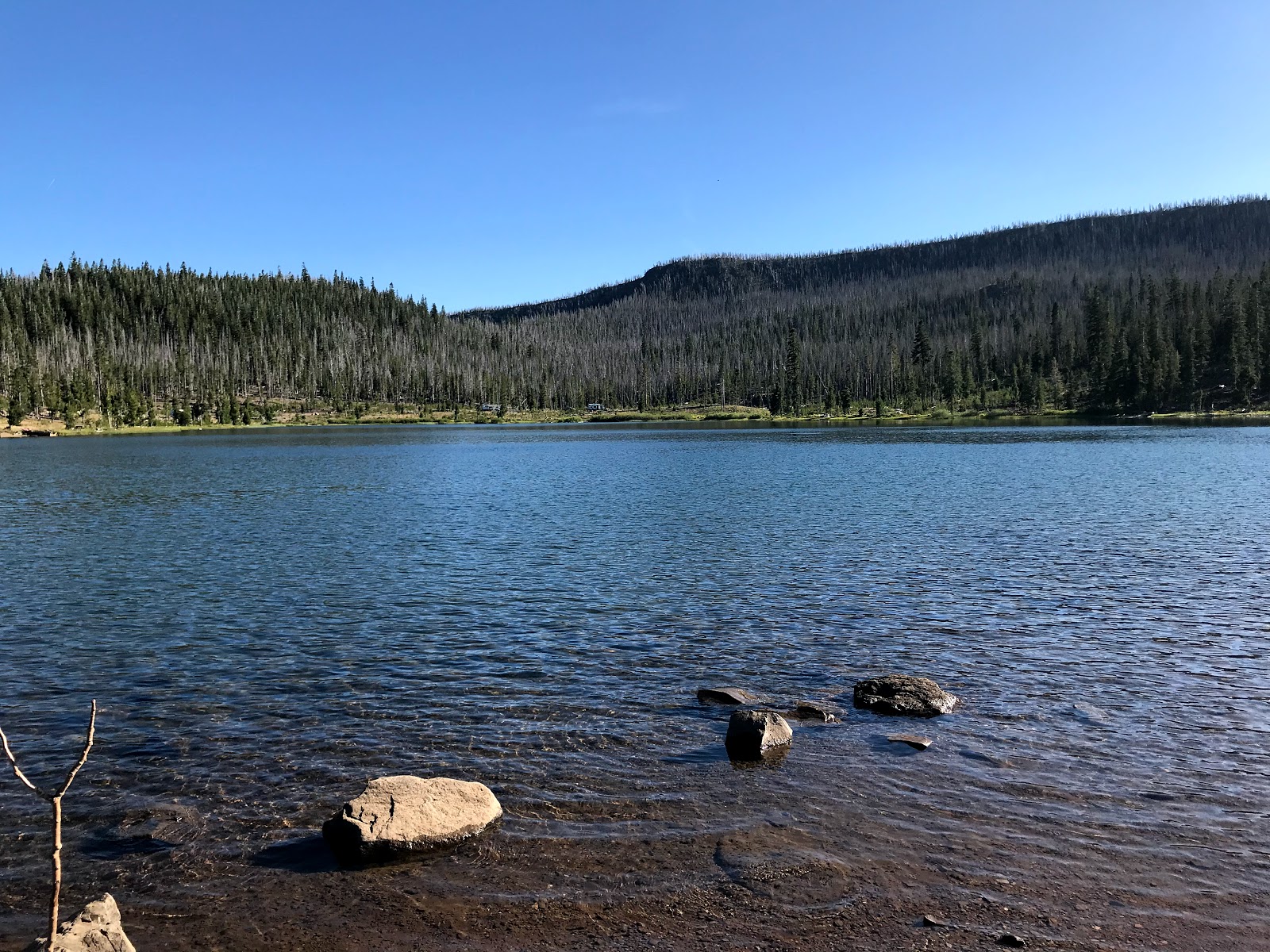 Campbell Lake Campground
