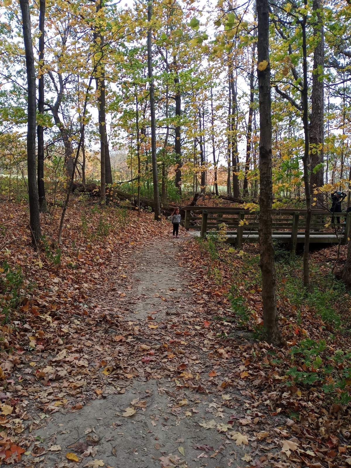 Chellberg Farm Picnic Shelters